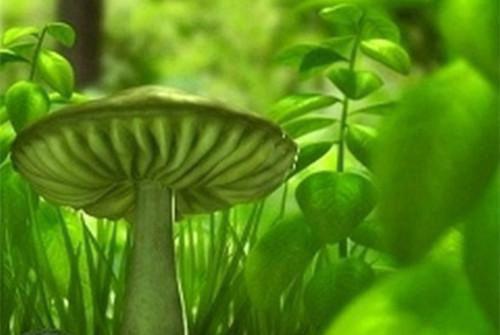 全本穿越兽世：结侶生仔攒积分新上（妘彩彩赢华）最新章节列表_全本穿越兽世：结侶生仔攒积分新上全文阅读