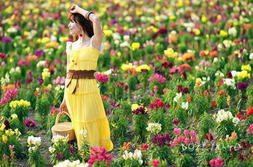 人气小说贪婪落吻知乎江濛江依依宋晗免费试读