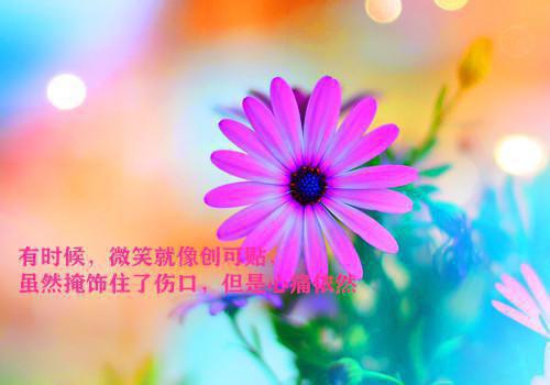 嫡女为凰（叶宁语白承之）全文免费_（叶宁语白承之）嫡女为凰后续阅读（叶宁语白承之）