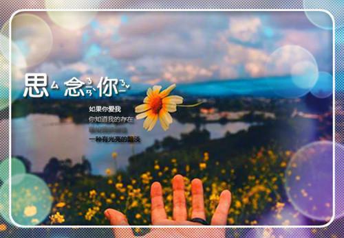 完结文烟火照夜白+后续创作出彩最新章节列表_完结文烟火照夜白+后续创作出彩全文免费阅读（温南枝沈清宴）