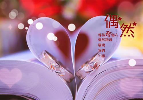 填我十万八千梦傅沉砚沈昭宜：后续更新全文免费填我十万八千梦傅沉砚沈昭宜：后续更新全文免费