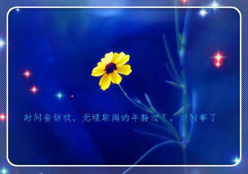 梁明昭谢临风+全文+番外(梁明昭谢临风)最近更新
