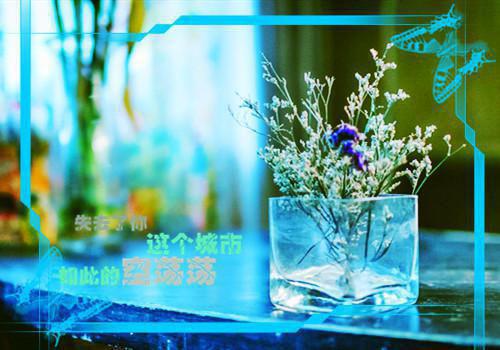 (番外)+(全文)离婚了，我找鲜肉总裁怎么了免费下载阅读_（刘紫项天琪）离婚了，我找鲜肉总裁怎么了最新章节列表_笔趣阁（刘紫项天琪）