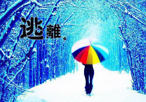 (番外)+(全文)同命花结局+番外+后续免费下载阅读_（白修平）同命花结局+番外+后续最新章节列表_笔趣阁（白修平）