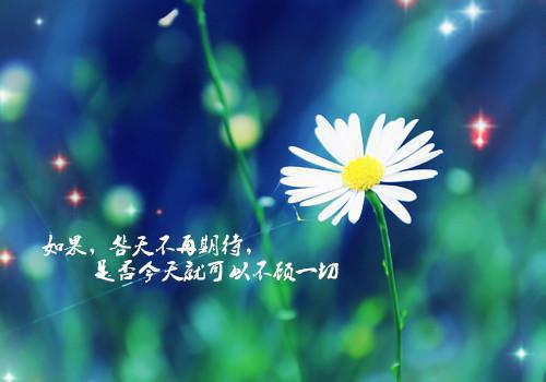 (番外)+(全文)女顶流偷窃，我重拳出击全文+后续下载阅读_(都会,古董,顶流)女顶流偷窃，我重拳出击全文+后续最新章节列表_笔趣阁（都会,古董,顶流）