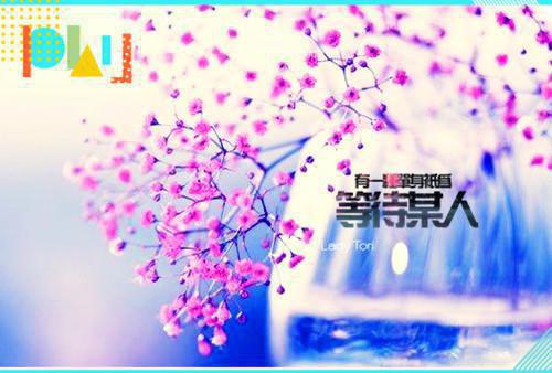 山回路转不见君：免费品鉴全文小说姬洛黎陆知秋小说在线阅读