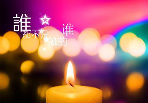 人面桃花长相忆：精心编著阮雾梨闻砚辞推荐完本_已完结人面桃花长相忆：精心编著（阮雾梨闻砚辞）