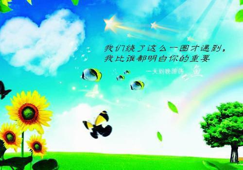 全文浏览司少，夫人又提离婚了（关进,苏阳,苏曼姐）_司少，夫人又提离婚了（关进,苏阳,苏曼姐）全文结局