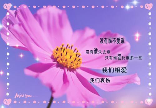 最新章节终是庄周梦了蝶：结局+番外新书（南语沈聿珩）_终是庄周梦了蝶：结局+番外新书南语沈聿珩最新章节