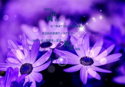 陆予深乔青穗没能成为你的月亮：全面完结已完结_陆予深乔青穗没能成为你的月亮：全面完结最新章节