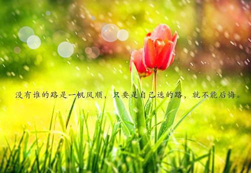 只盼朝暮皆有你：+结局+番外阮亦澜李裕推荐完本_已完结只盼朝暮皆有你：+结局+番外（阮亦澜李裕）