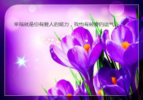 (番外)+(全文)夏思淼祁司野：结局+番外高口碑全文+后续下载阅读_(夏思淼祁司野)夏思淼祁司野：结局+番外高口碑全文+后续最新章节列表_笔趣阁（夏思淼祁司野）