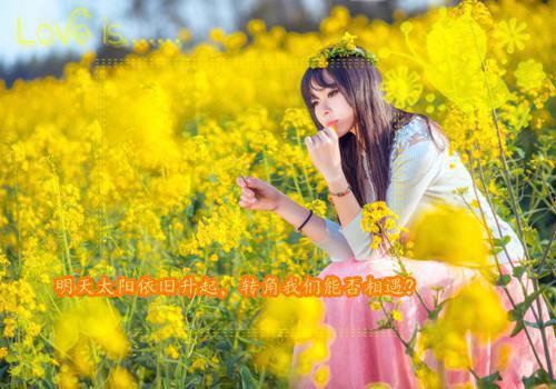 此后经年，白首不相离（许沉舟宋清婉）全文免费_（许沉舟宋清婉）此后经年，白首不相离后续阅读（许沉舟宋清婉）
