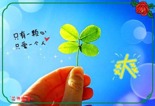 月光不照北:+番外（裴照北林画）全文免费_（裴照北林画）月光不照北:+番外后续阅读（裴照北林画）