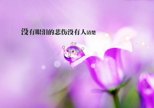 穿进情满四合院，我的侄子太憨了（何雨柱何小天）全文浏览_穿进情满四合院，我的侄子太憨了全文浏览