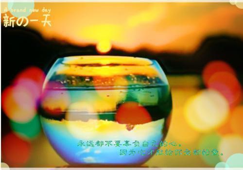 完结文第一百零一次求婚：版最新章节列表_完结文第一百零一次求婚：版全文免费阅读（顾衍秦千雪宋星河 ）