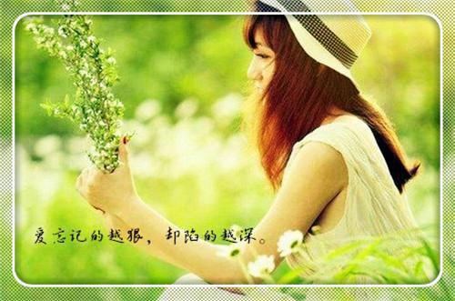 (番外)+(全文)东宫娇藏下载阅读_(沈小,沈知珩,儿臣)东宫娇藏免费阅读全文最新章节列表_笔趣阁（沈小,沈知珩,儿臣）