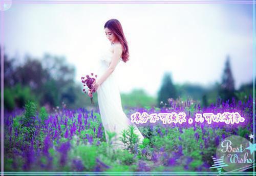 穿书：大婚当日，我成了平妻？精彩分享（宋若臻楚君霆）最新章节_穿书：大婚当日，我成了平妻？精彩分享全文阅读