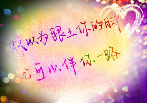 盛景太匆匆：最新章节列表_盛景太匆匆：全文免费阅读(宁若曦沈砚舟)