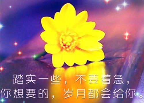 完结文我转岗做文员后，自称尸语者的男友小青梅急了一致好评最新章节列表_完结文我转岗做文员后，自称尸语者的男友小青梅急了一致好评全文免费阅读（江晚晴陆景行韩依依）