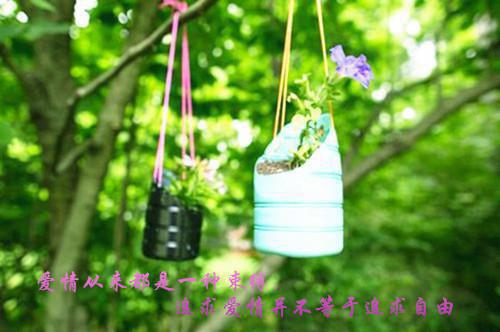 完结文心动延续谢景腾最新章节列表_完结文心动延续谢景腾全文免费阅读（苏安,谢景腾,温岁宁）