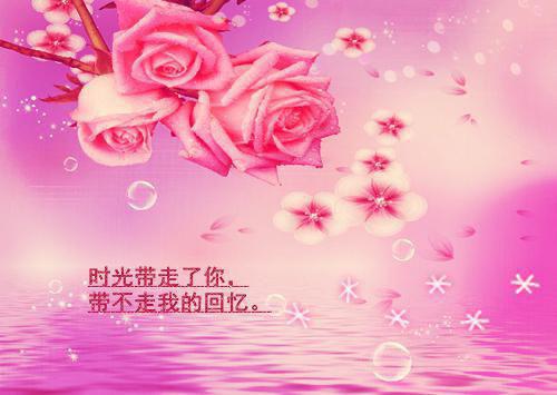 厉少凶猛：小甜妻，乖一点！(厉寒沉)最近更新