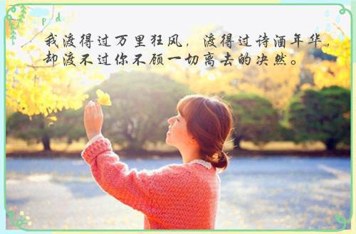 相遇的开始，离别的倒计时：结局+番外每日分享（顾屿寒江妍沈婉）最新章节_相遇的开始，离别的倒计时：结局+番外每日分享全文阅读