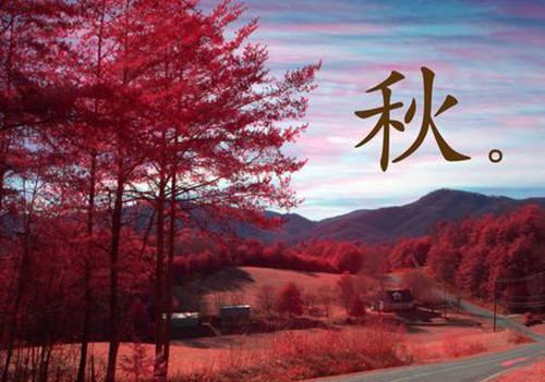 全文浏览人刚穿越，就被渣爹卖女求荣（云召召马云昭）_人刚穿越，就被渣爹卖女求荣（云召召马云昭）全文结局