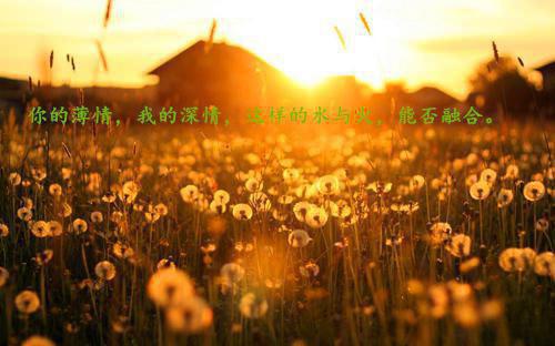 红藕香残玉簟秋：结局+番外榜单（宁卿月裴聿）最新推荐_最新推荐红藕香残玉簟秋：结局+番外榜单（宁卿月裴聿）