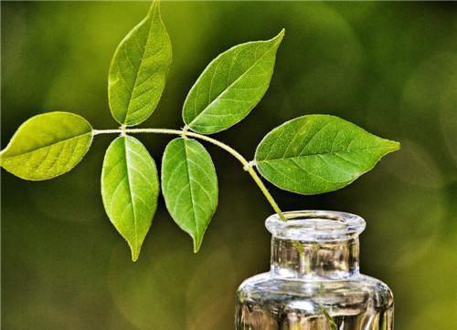 完结文深夜我站在镜子前卸妆：最新章节列表_完结文深夜我站在镜子前卸妆：全文免费阅读（周彦深秦书意）