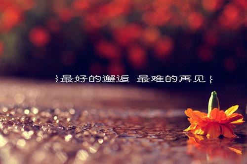 西游：瞎眼十年，我教出人族盛世（程风李世民）最新章节_西游：瞎眼十年，我教出人族盛世全文阅读