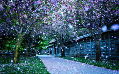 灵气复苏我上学，异兽入侵我建派最新小说（修为,师尊,成是）全文阅读