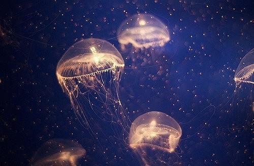 (番外)+(全文)浮灯灿烂一朝：在线看下载阅读_(梁明昭沈砚卿)浮灯灿烂一朝：在线看免费阅读全文最新章节列表_笔趣阁（梁明昭沈砚卿）