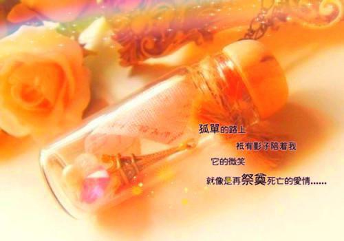 宋闻璟的小说折寒枝簪起霜思：+番外+完结沈棠眠宋闻璟全文在线阅读