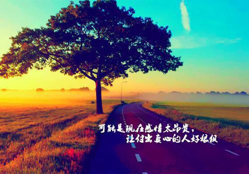我在余晖深处等你：+番外+（孟荆州林倾月）全文免费_（孟荆州林倾月）我在余晖深处等你：+番外+后续阅读（孟荆州林倾月）