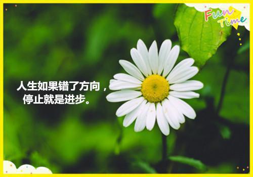 电子书下载（许思梨沈辞越）余温散尽时：高分言情全书无套路阅读