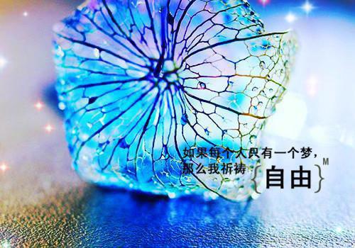 三更提笔的小说闺蜜成敌蜜？嫁反派，她跑我也跑孟棠黎苏全文在线阅读