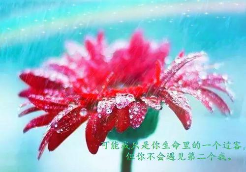 最新章节惊悚游乐园，心脏不好别来！（张北李阳）_惊悚游乐园，心脏不好别来！张北李阳最新章节
