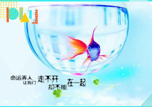 小说后续全文 沐星澜陆司沉：免费阅读全文小说后续全文沐星澜陆司沉完整版在线阅读_沐星澜陆司沉（沐星澜陆司沉：免费阅读全文）完结阅读无弹窗大结局