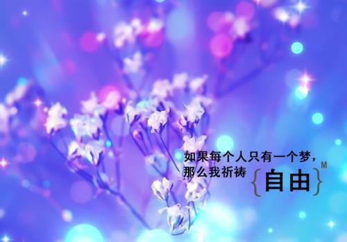 何意迟迟归裴司尧陆昭昭迟穗语完整版阅读（裴司尧,陆昭昭,迟穗语）全章免费版阅读