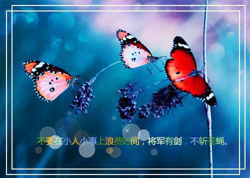 昔日情誓不归君：全文完结全文清爽版在线+无广告结局（余知鸢萧台烬）
