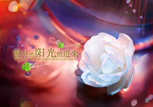 (番外)+(全文)南语沈聿珩：全文+完结+后续txt下载阅读_(沈聿珩南语)南语沈聿珩：全文+完结+后续最新章节列表_笔趣阁（沈聿珩南语）