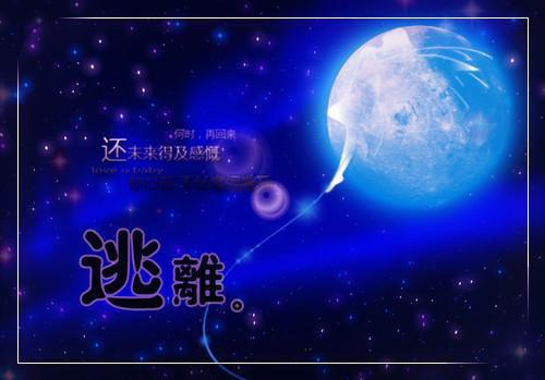 沈照谢尽长安花：，沈照霜宁砚后续免费最新章节列表_沈照谢尽长安花：，沈照霜宁砚后续免费全文免费阅读
