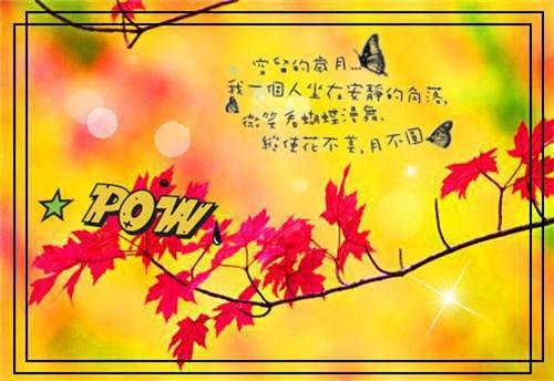 全文浏览莫名我就喜欢你：优质（严书韵陆纪州）_莫名我就喜欢你：优质（严书韵陆纪州）全文结局