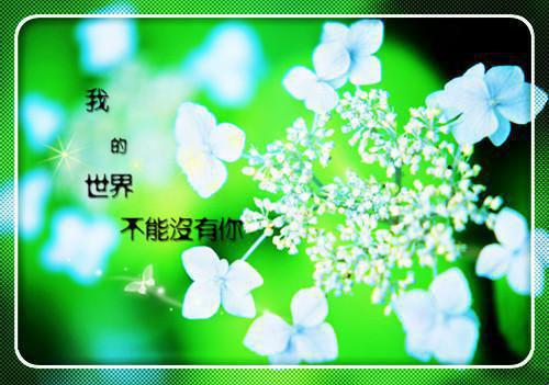 全本七零年代情错不逢时（江念言姜际舟）最新章节列表_全本七零年代情错不逢时全文阅读