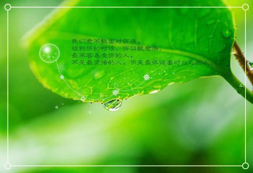 别人末世苦哈哈，我在别墅吃西瓜最新章节列表_别人末世苦哈哈，我在别墅吃西瓜全文免费阅读(余呦呦茹白卉)