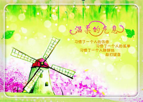 我在末世建设祖国全文小说赵知夏赵大强小说在线阅读