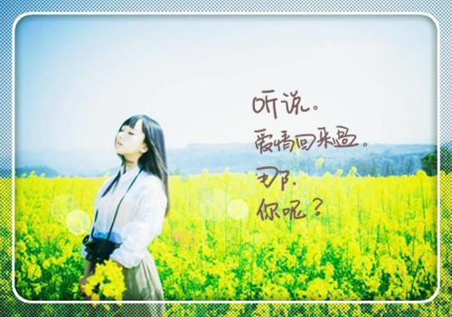 梨花望晚风：,沈随之季云枝结局+后续全文清爽版在线+无广告结局（沈随之季云枝）