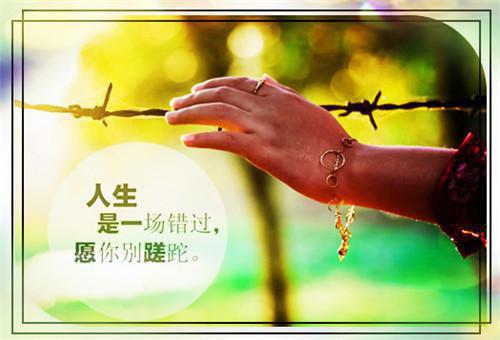完结文未婚夫秘书抢我包后，我杀疯了：最新章节列表_完结文未婚夫秘书抢我包后，我杀疯了：全文免费阅读（贝雅娴周成益）