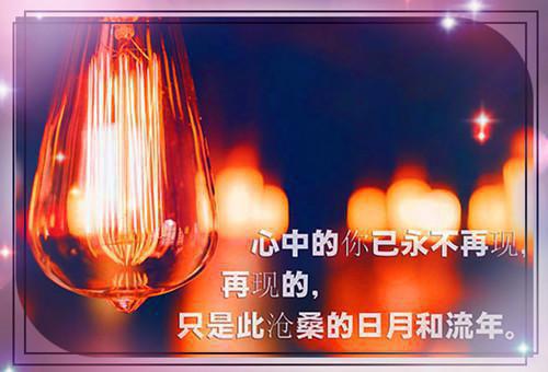 最新章节与谁白首不相离/谁能救我孤独心：后续结局（温晚柠陆淮川）_与谁白首不相离/谁能救我孤独心：后续结局温晚柠陆淮川最新章节